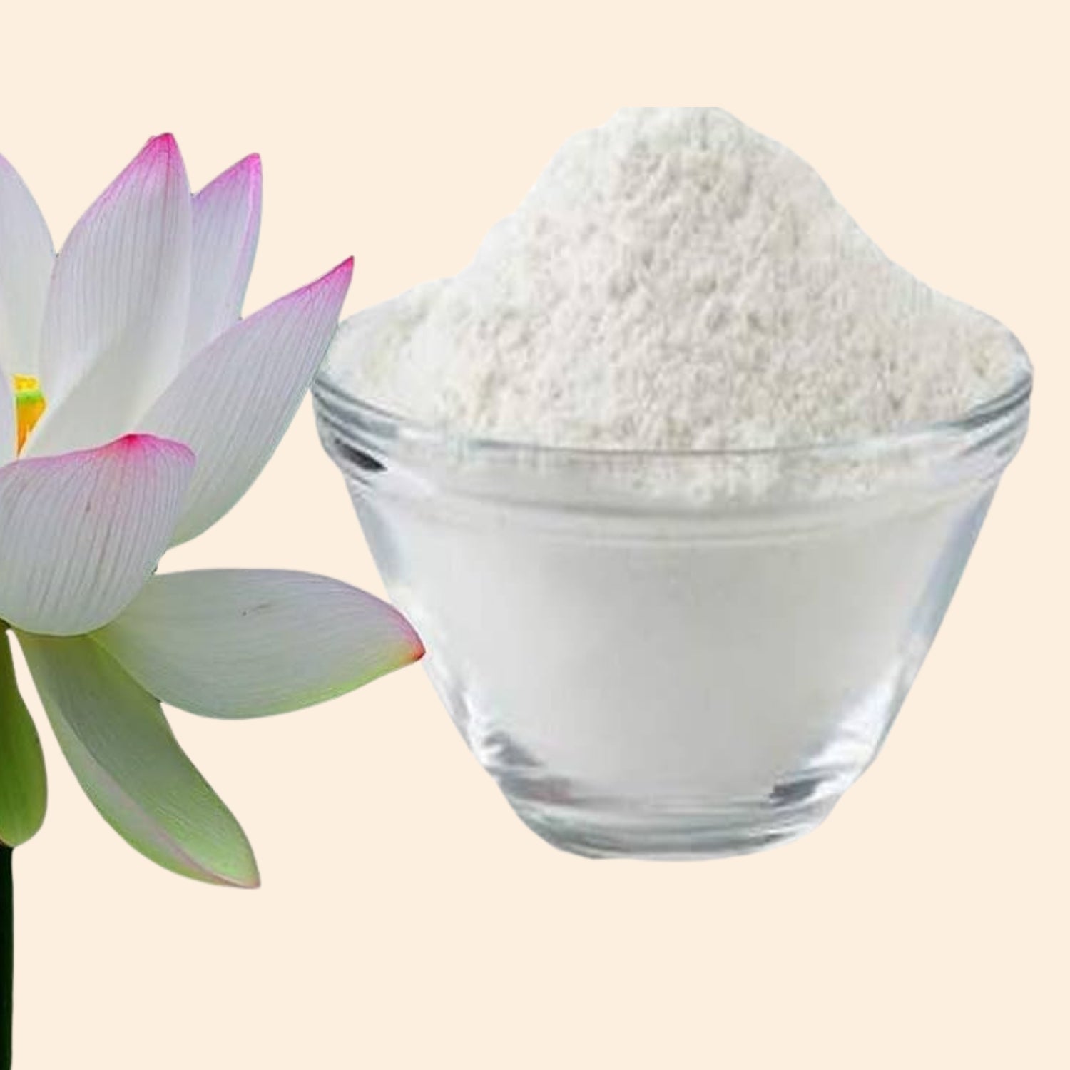 Shoprythm Fruit & Vegetable Powders White Lotus Powder Shoprythm Fruit & Vegetable Powders White Lotus Powder